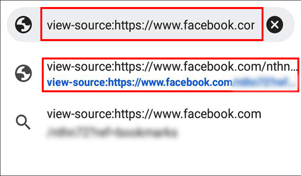 Nhập view-source vào địa chỉ facebook để vào nguồn trang