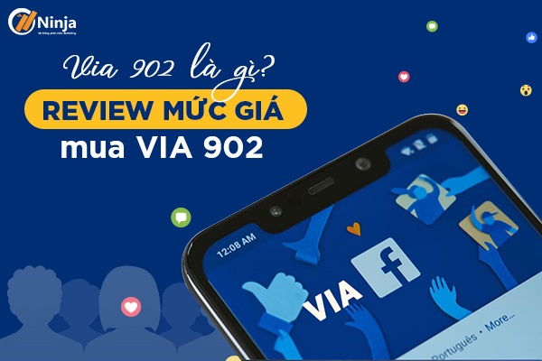 Giải đáp: Via 902 là gì?